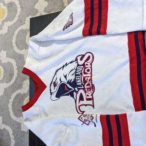 Dylan Larkin autograph jersey